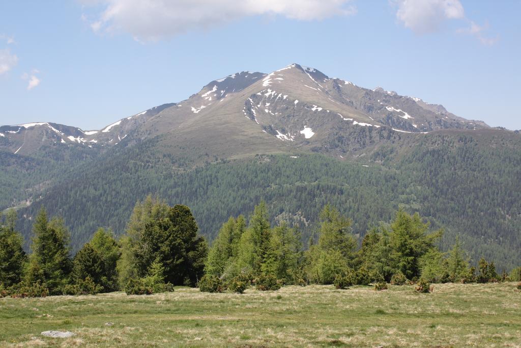 Huettentraum Flattnitz Экстерьер фото