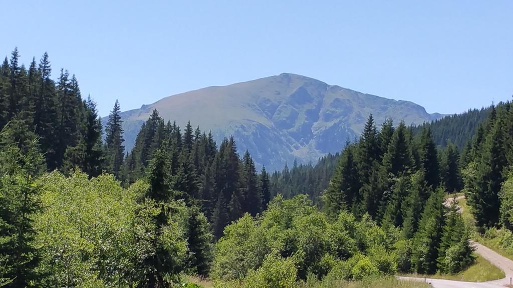 Huettentraum Flattnitz Экстерьер фото